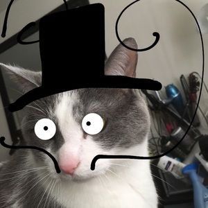 Meet your Posher, Murat